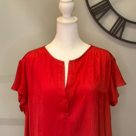 The Limited - Picture 3 of 6